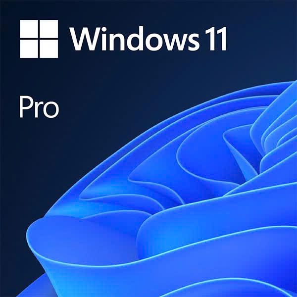 (정품)Microsoft Win Pro 11 64Bit Eng Intl 1pk DSP OEI DVD FQC-10528