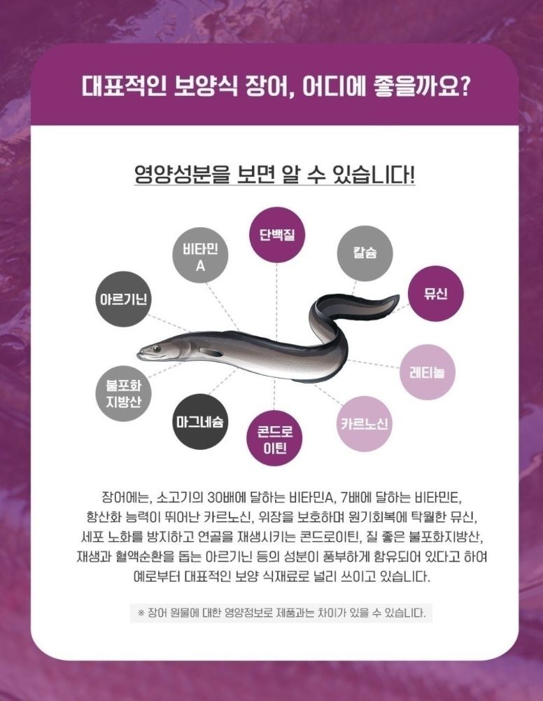 🟦🟥●■튼튼장어■●🟥🟦[098 640 1817]